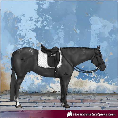 Horse Color:Powder White Black