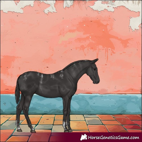 Horse Color:Powder White Smoky Black 