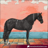 Horse Color:Powder White Smoky Black 