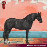 Horse Color:Powder White Smoky Black 