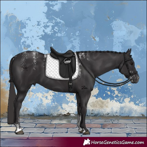 Horse Color:Powder White Smoky Black