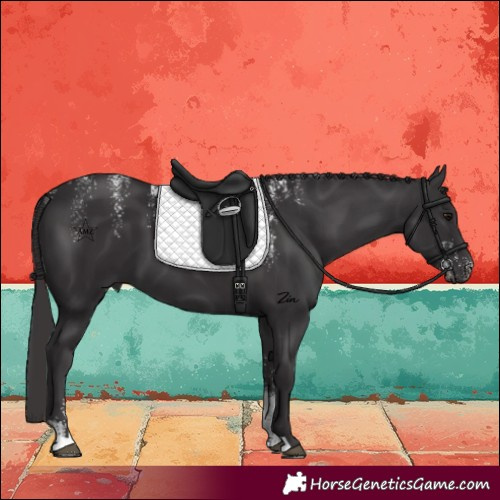 Horse Color:Powder White Smoky Black 