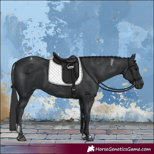 Horse Color:Powder White Black