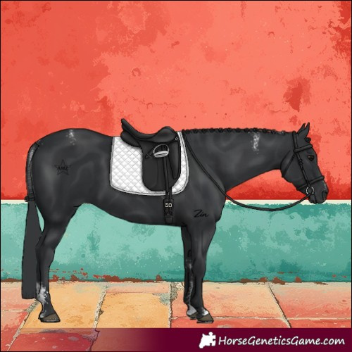 Horse Color:Powder White Black