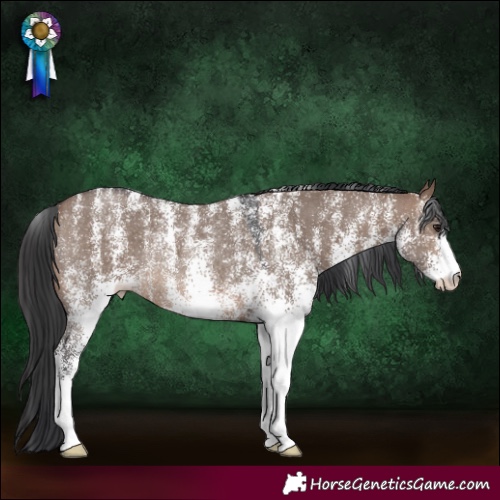 Horse Color:Powder White White Spotted Brown Dun Rabicano 