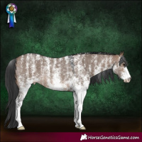 Horse Color:Powder White White Spotted Brown Dun Rabicano 