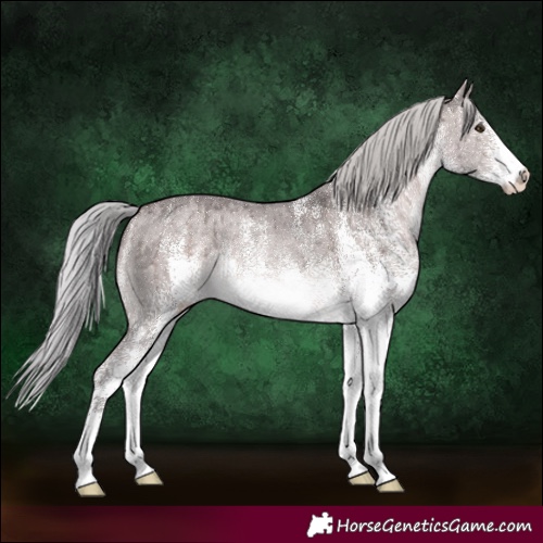 Horse Color:Platinum White Spotted Silver Brown Dun Rabicano Brindle