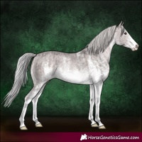 Horse Color:Platinum White Spotted Silver Brown Dun Rabicano Brindle 