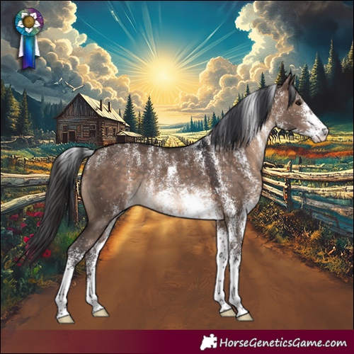 Horse Color:Powder White White Spotted Brown Dun Rabicano