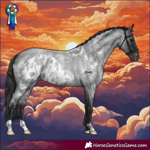 Horse Color:Blue Roan Skewed LP Spotted 