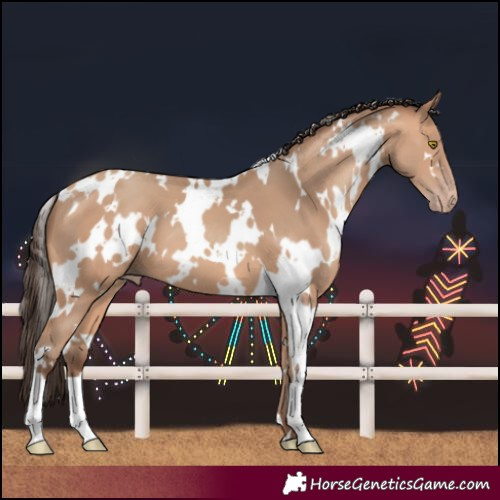 Horse Color:White Spotted Amber Champagne