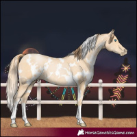 Horse Color:White Spotted Buckskin Pearl