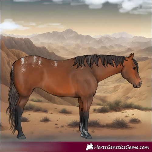 Horse Color:Powder White Bay 