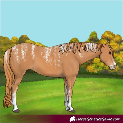 Horse Color:Powder White Chestnut 