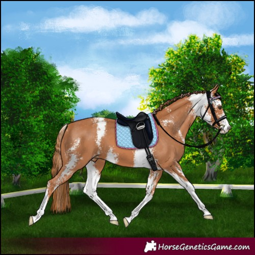 Horse Color:Chestnut Sabino Varnish