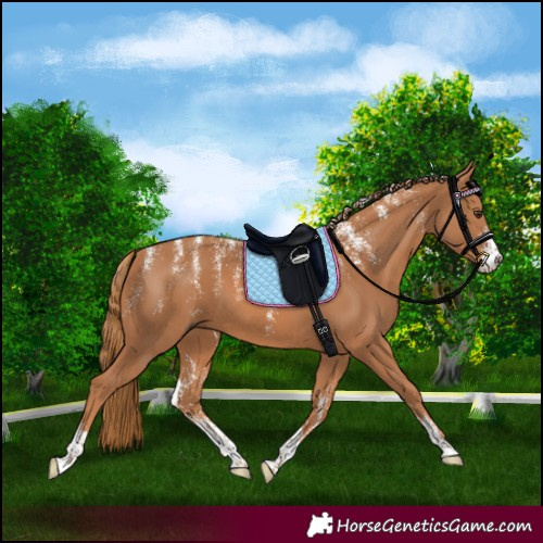 Horse Color:Powder White Chestnut Sabino