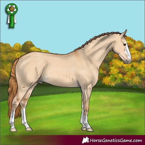 Horse Color:Red Dun 