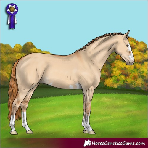 Horse Color:Red Dun 