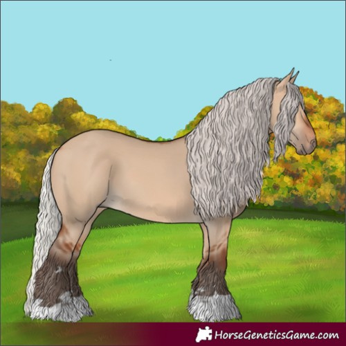 Horse Color:Silver Bay Dun 