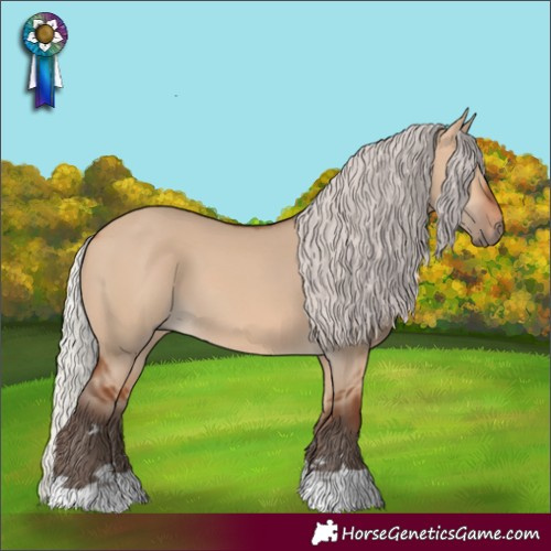 Horse Color:Silver Bay Dun