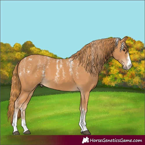 Horse Color:Powder White Chestnut