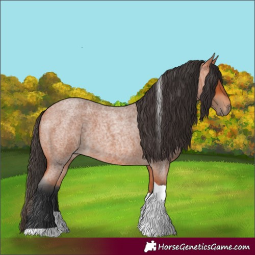 Horse Color:Bay Roan Tobiano 