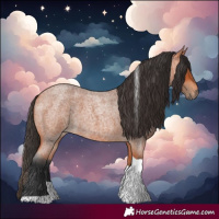 Horse Color:Bay Roan Tobiano