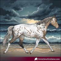 Horse Color:Silver Smoky Grullo Tobiano Near Leopard