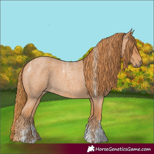 Horse Color:Powder White Red Roan 