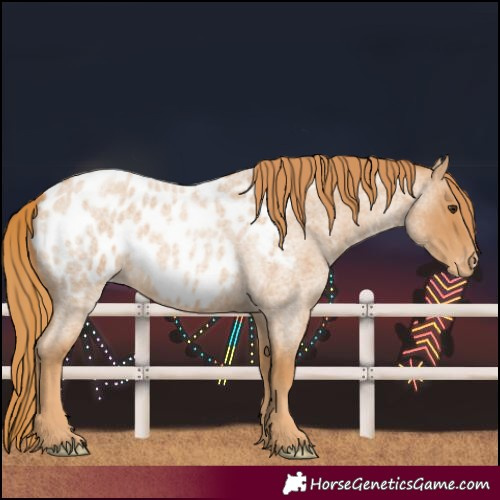 Horse Color:Red Roan Blanket