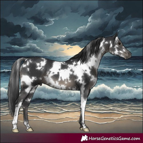 Horse Color:White Spotted Black 