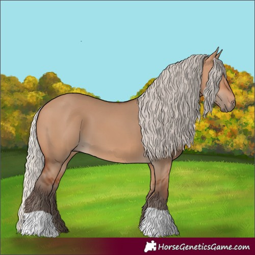 Horse Color:Silver Bay Dun