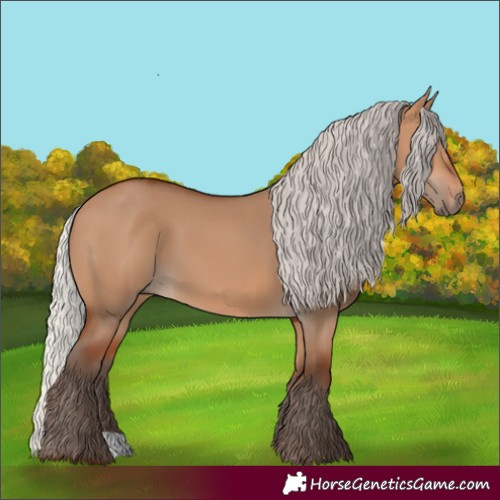 Horse Color:Silver Bay Dun