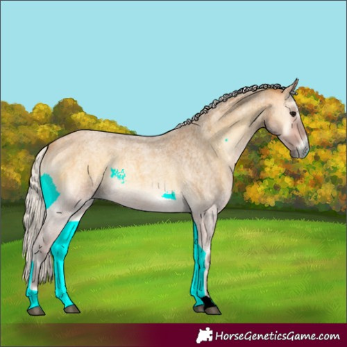 Horse Color:Silver Buckskin Roan Onyx