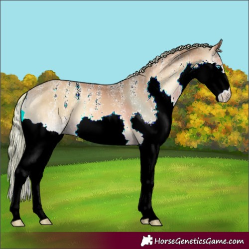 Horse Color:Powder White Watercolor Red Onyx Splash