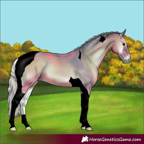 Horse Color:Watercolor Silver Bay Onyx Tobiano 