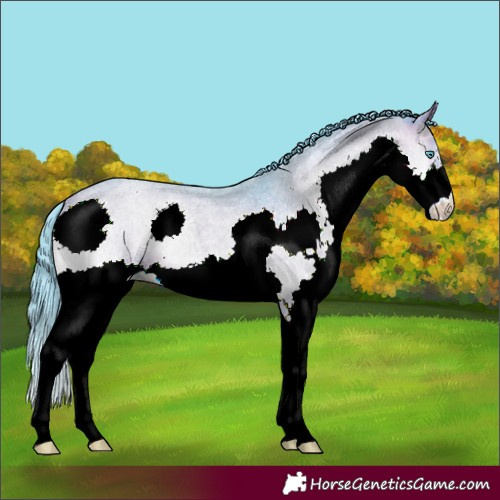 Horse Color:Watercolor Bay Roan Onyx Splash 