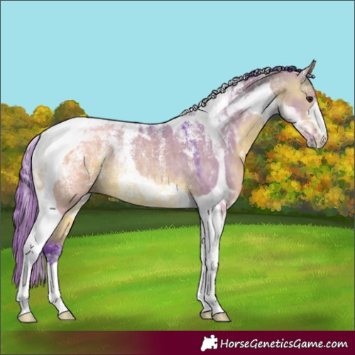 Horse Color:Powder White Watercolor Bay Dun Tobiano Rabicano 