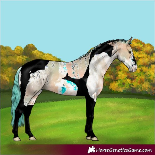 Horse Color:Powder White Watercolor Bay Dun Tobiano