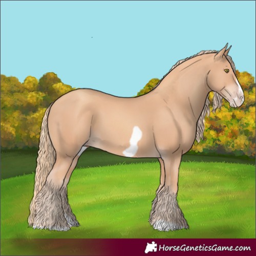 Horse Color:Gold Champagne Splash Frame
