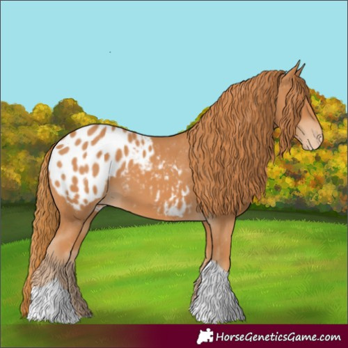Horse Color:Chestnut Tobiano Blanket