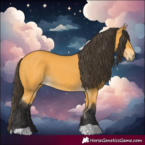 Horse Color:Buckskin 