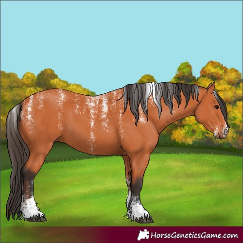 Horse Color:Powder White Bay 