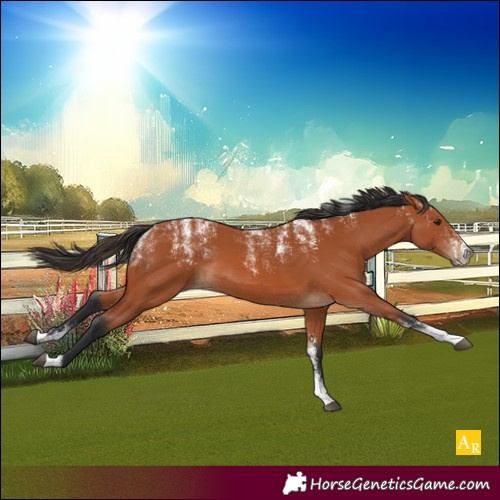 Horse Color:Powder White Bay 