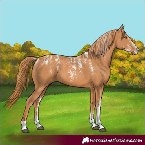 Horse Color:Powder White Chestnut 