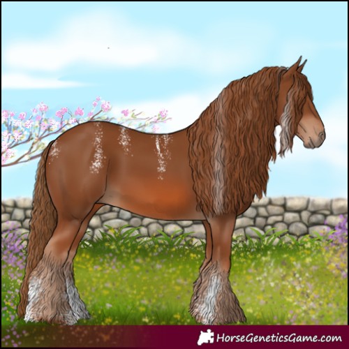 Horse Color:Powder White Chestnut