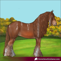 Horse Color:Powder White Chestnut