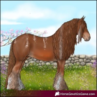 Horse Color:Powder White Chestnut