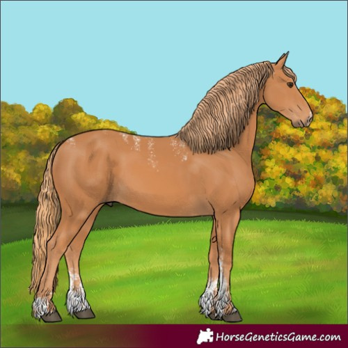 Horse Color:Powder White Chestnut
