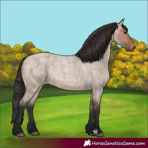 Horse Color:Bay Roan Dun 